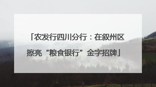 农发行四川分行：在叙州区擦亮“粮食银行”金字招牌